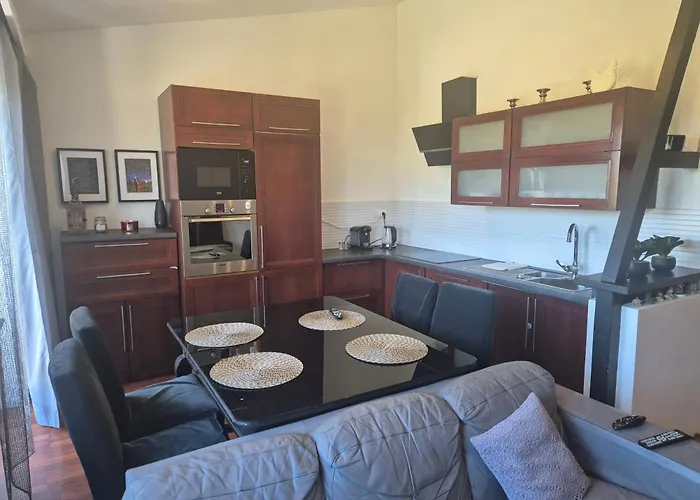 Brzechwy Apartament *